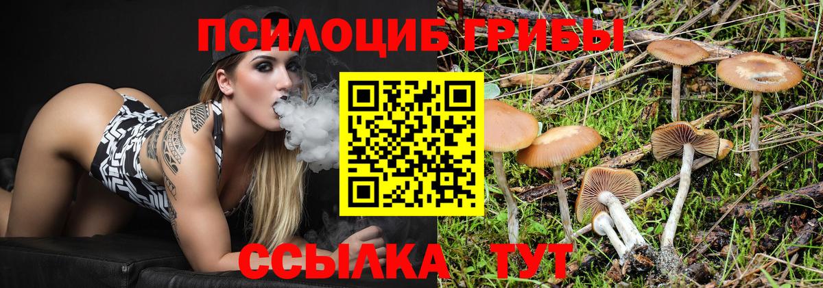 Псилоцибиновые грибы мицелий  Вход с VPN  Волжский  купить закладку  Псилоцибиновые грибы Psilocybe 