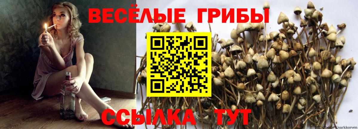 Галлюциногенные грибы мухоморы Волжский